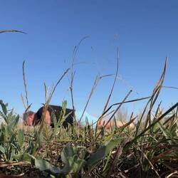 Wie witzig das aussieht im Zeitraffer 😂