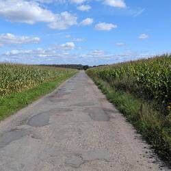 Mais, Radweg, Mais