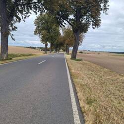 Leider sieht man nie, wie steil hinauf es wirklich geht😨