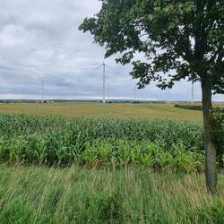 Wo Windräder sind, hats Steigungen und Gegenwind