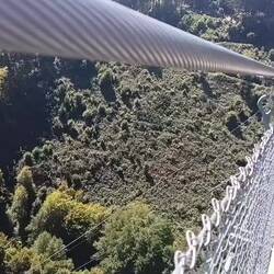 Ik sta hier stil op de brug, je ziet de tuien aan de zijkant bewegen