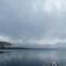 Fog cloud over the water. Maxwell Bay.