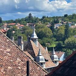 Widok na wieżyczki przydomowe
