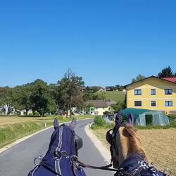 Endlich mal ein Geschwindigkeitsmesser, der uns erkennt