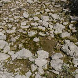 Restwasser der Donau