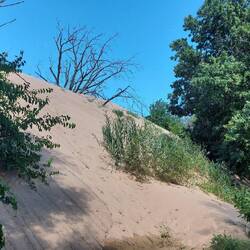 Mt. Baldy (Beschreibung im Text)