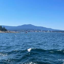 Erster Blick auf Nanaimo von der Fähre aus