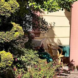 Bruder Schorsch liest