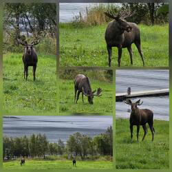 Juhuuuu🥳🥳🥳🥳