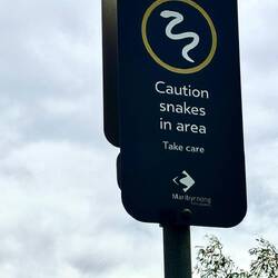 We did take care but saw no snakes