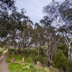 River corridor into the city