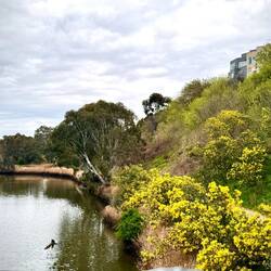 The Maribyrnong River