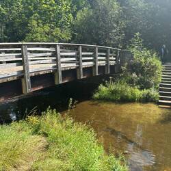 The walking bridge over the Mississippi.