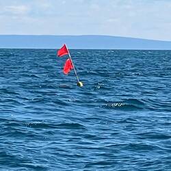 This is what those flags look like up close. There are nets strung between the marker flags.