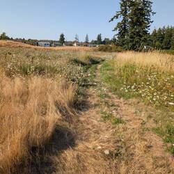 Trail around pond