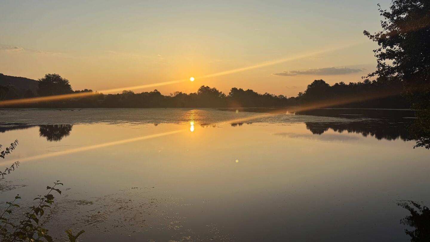 Ambiance bord d'étang et coucher de soleil, que c'est paisible
