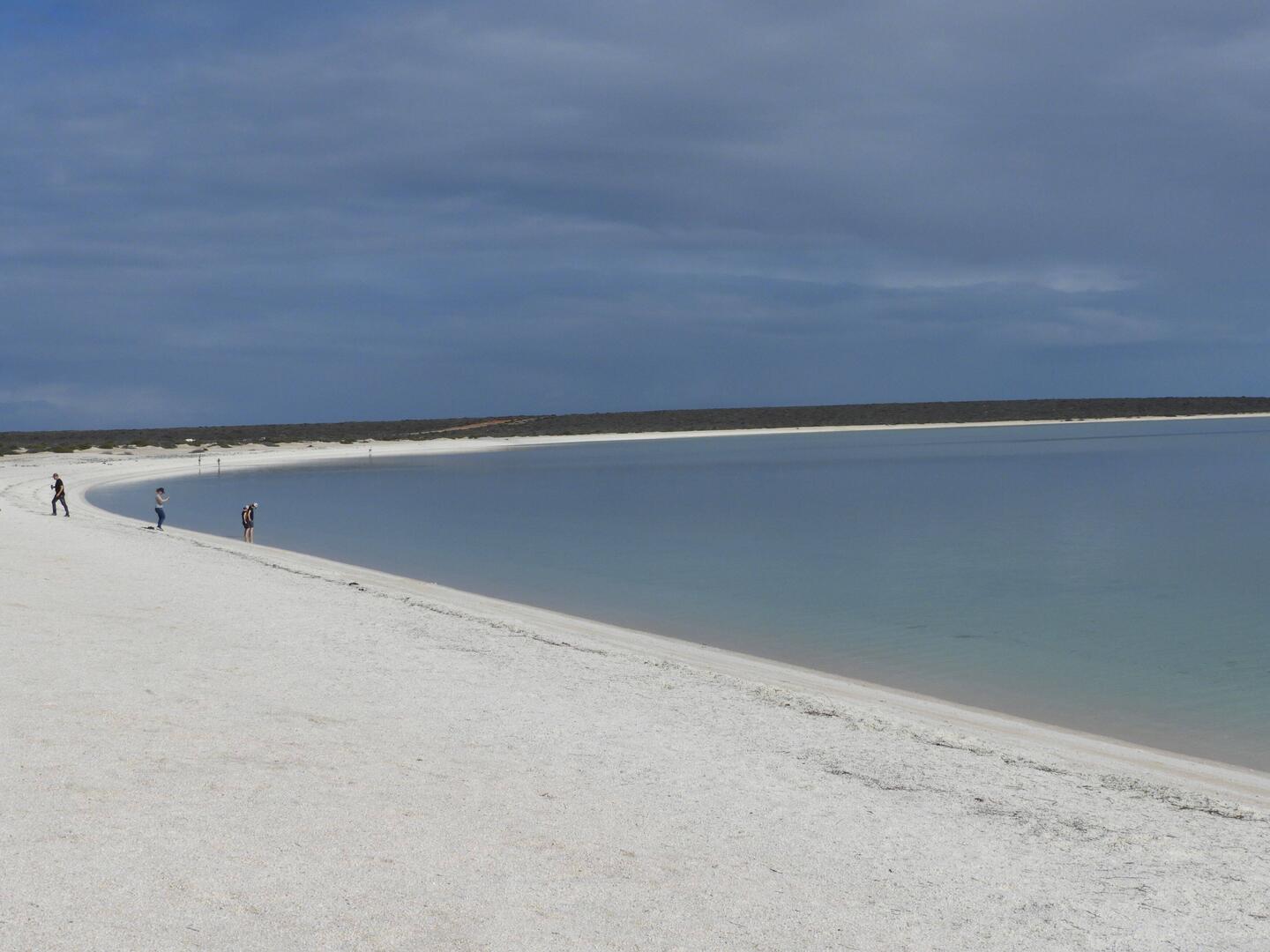 Shell Beach