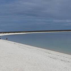 Shell Beach