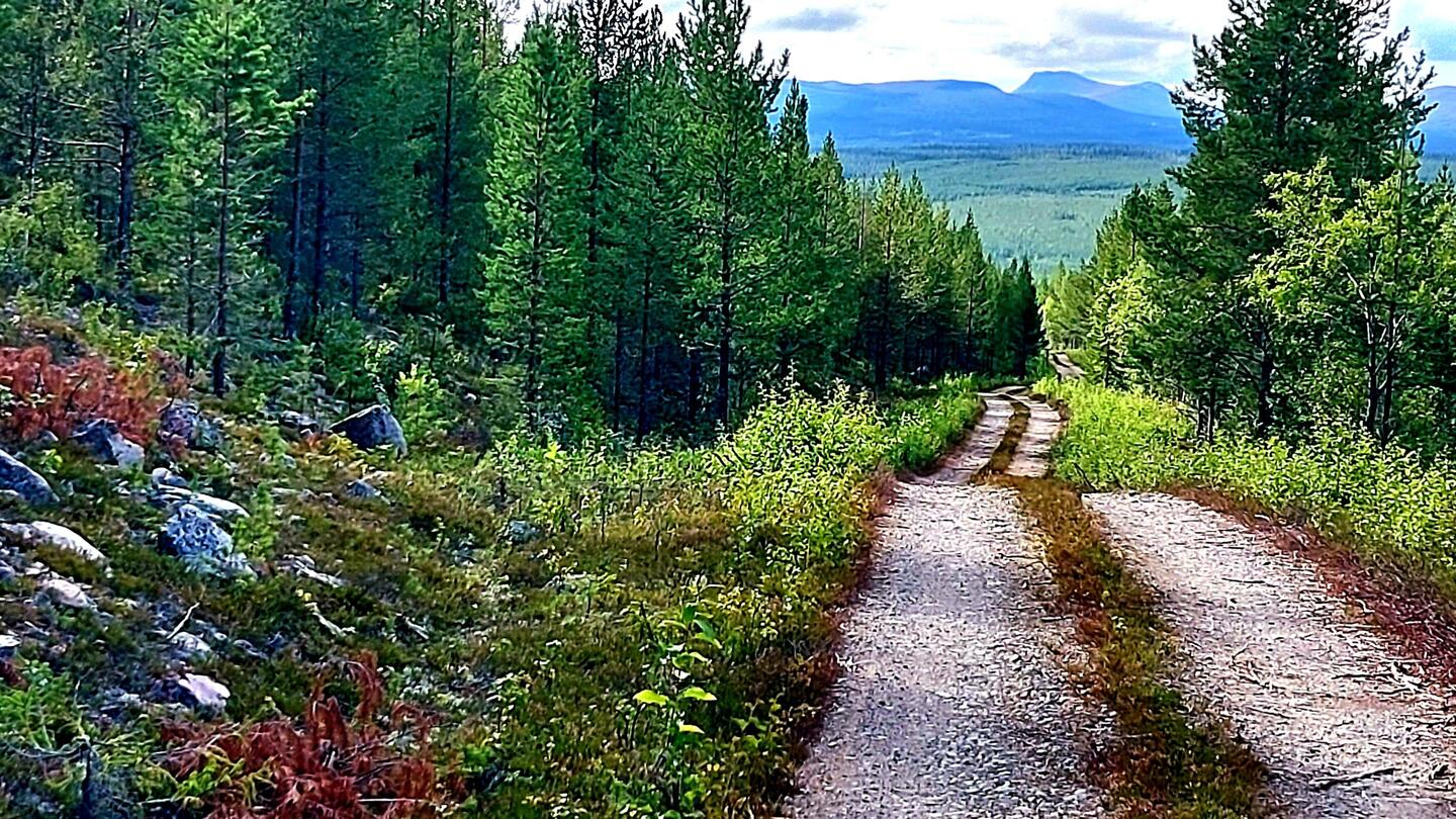 Der Weg ist das Ziel