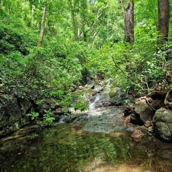 kleiner Fluss mit Badestelle auf dem Grundstück