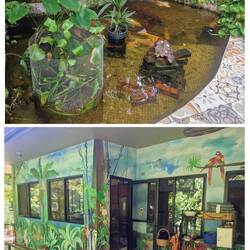 Koi-Teich und Küche