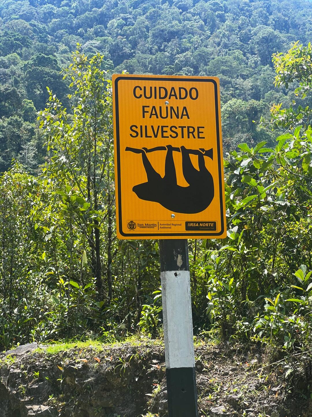 Its a slow climb, but we would beat a sloth. The cloud forest is to be protected!