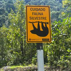 Its a slow climb, but we would beat a sloth. The cloud forest is to be protected!
