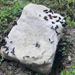 Like here.. and on the road