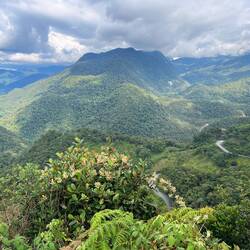 Finally a proper view