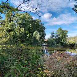Der See im botanischen Garten