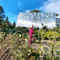 Der botanische Garten