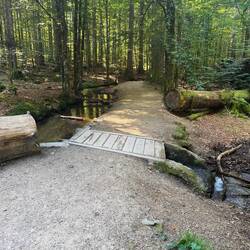 Schwellsteig