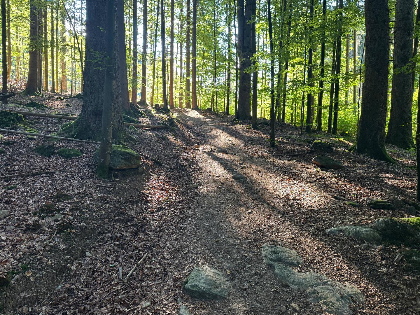 Anstieg nach Schwellhäusl