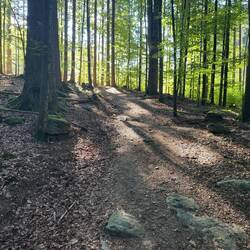 Anstieg nach Schwellhäusl