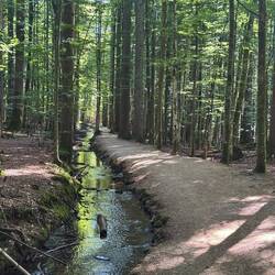 Schwellsteig