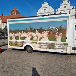 Die armen Gänse😪 bald ist wieder Martini