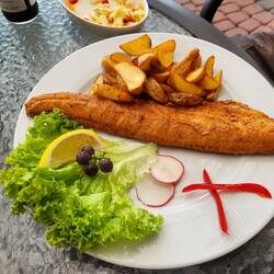 Süßwasserfisch 🤔 für Wolli.