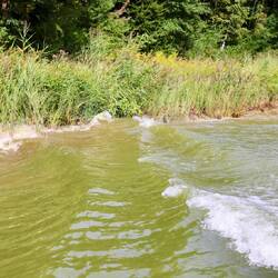 Und der eigene Schwell tut der Natur etwas gutes und bewegt dabei das Schilf.