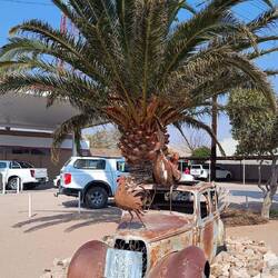 Tankstelle auf dem Weg nach Springbok