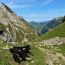 soweit die Bullen nichts dagegen haben geht es jetzt talwärts