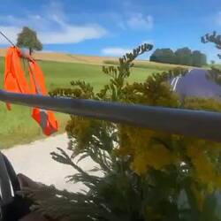 Aktive Verkehrserziehung