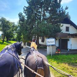 Haben wir uns verfahren?