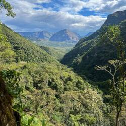 Late afternoon light