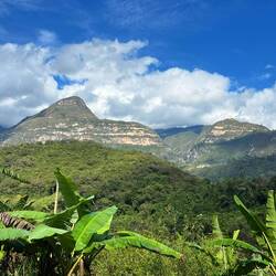 Big peaks starting to appear