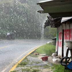 Raining buckets and providentiel shelter