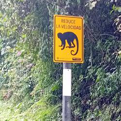 Many different animal types to be respected here