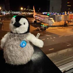 Mit Pingu das erste Mal von Shipol gestartet. Echte Alternative zu Frankfurt, Hamburg & co