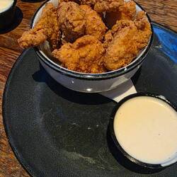 Alligator frit
