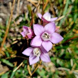 Immer wieder schön!