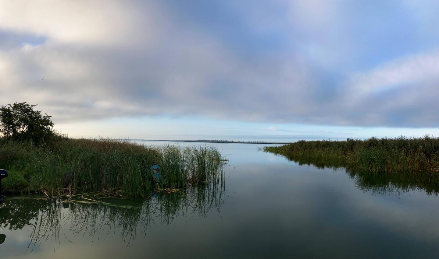 Morgenstimmung an Haff, Stellp. Karnin